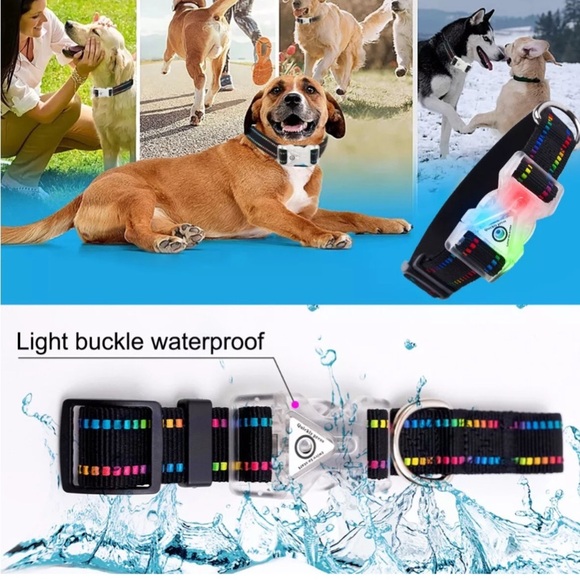 LED Dog Collar Night Safety Light Up Sunset Love Xtra Batteries Included Med NWT - Picture 8 of 16
